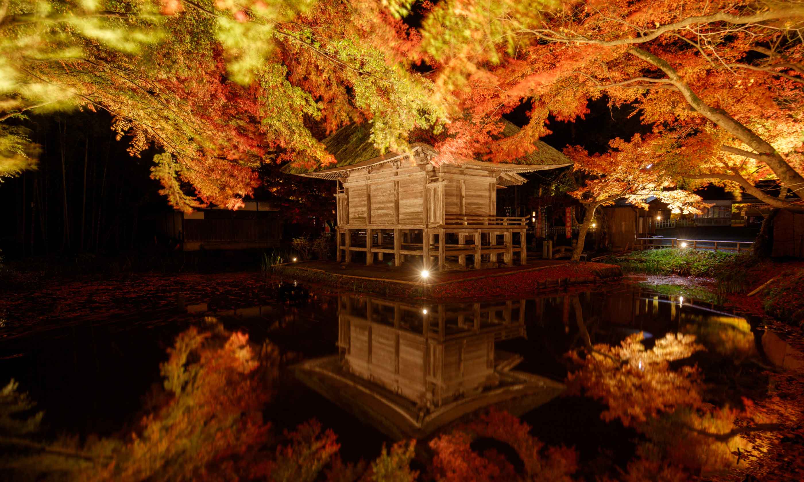 堂 中尊寺 金色